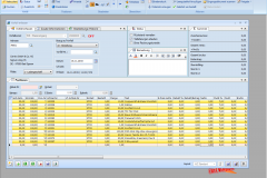 1_orgasoft.net-free-04-1wareneingang