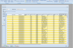 orgasoft.net-free-05-1datenimport