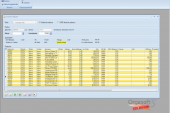 orgasoft.net-free-06inventur